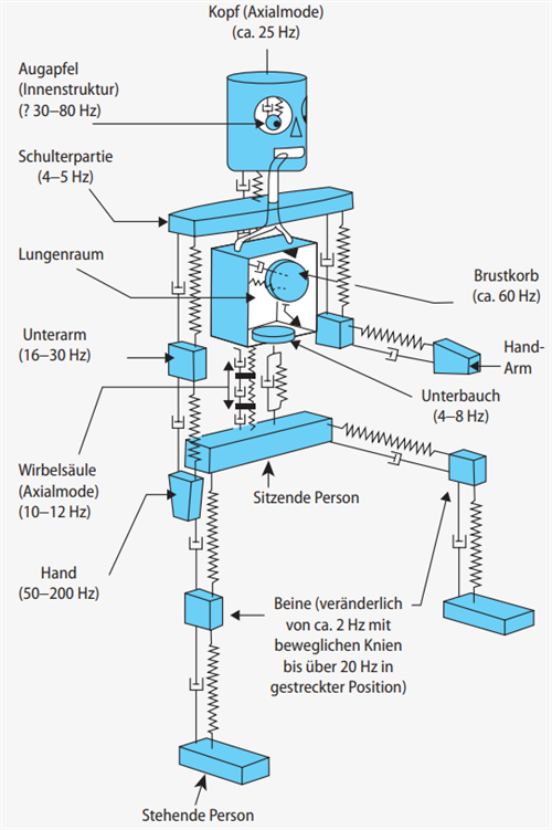 Mögliche Infraschall-Reaktion des Menschen